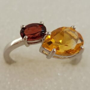 Citrine and Garnet et to mois